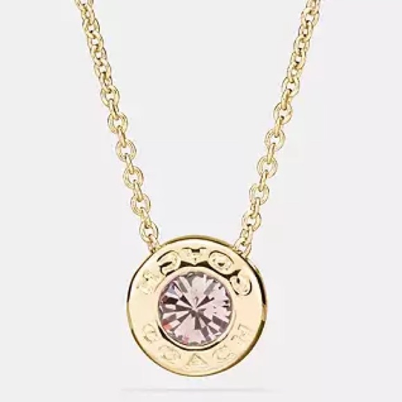 Coach Jewelry - Coach Circle Necklace